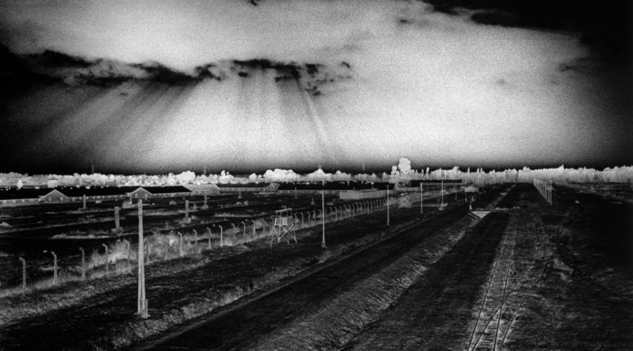 Birkenau Extermination Camp, PolandCOPYRIGHT JUDY GLICKMAN LAUDER, COURTESY OF PETER FETTERMAN GALLERY